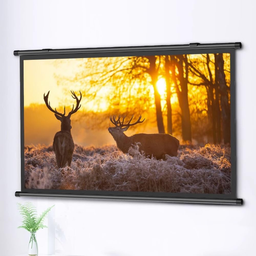 GSKDZG 40 Inch 50 Inch 60 Inch Projector Screen Manual Pull Down Projection Screen HD Home Theater Movie Screen 4K Portable Screen 4:3 16:9 Format(40