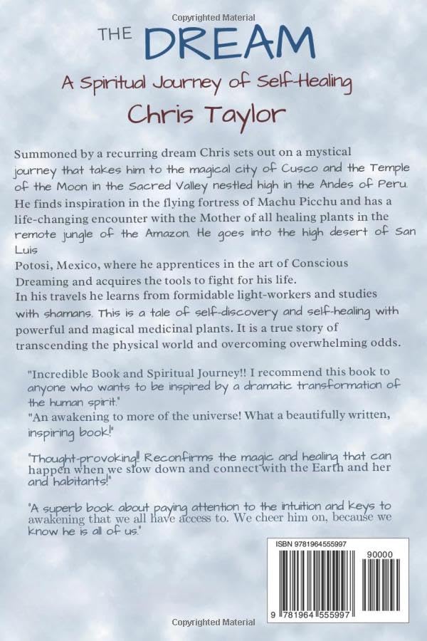 THE DREAM: A Spiritual Journey of Self-Healing - Image 2