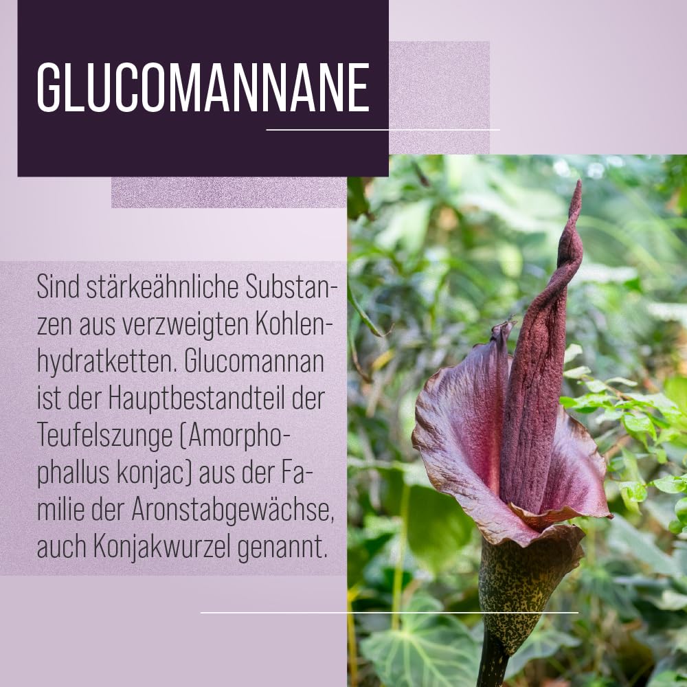 Bevanda al glucomannano Sanct Bernhard | Fibra pura vegetale solubile in acqua dalla radice asiatica di Konjak | 42 porzioni