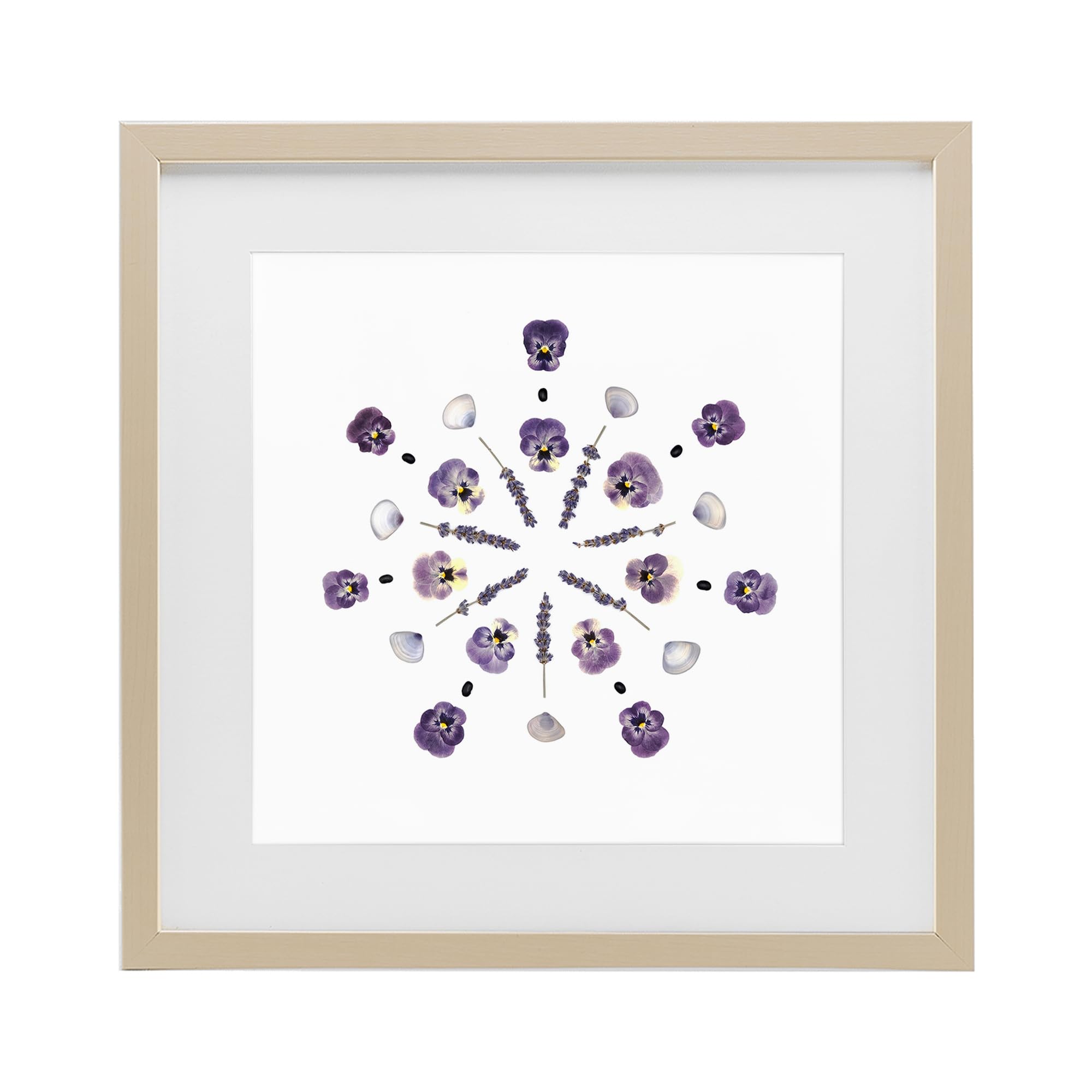 Stupell Industries 'Pansies & Lavender Symmetry', Framed Print Under Glass, Brown, 16 x 16 Inches, Easy to Hang and Sturdy, Made in USA, by Beth Adoette