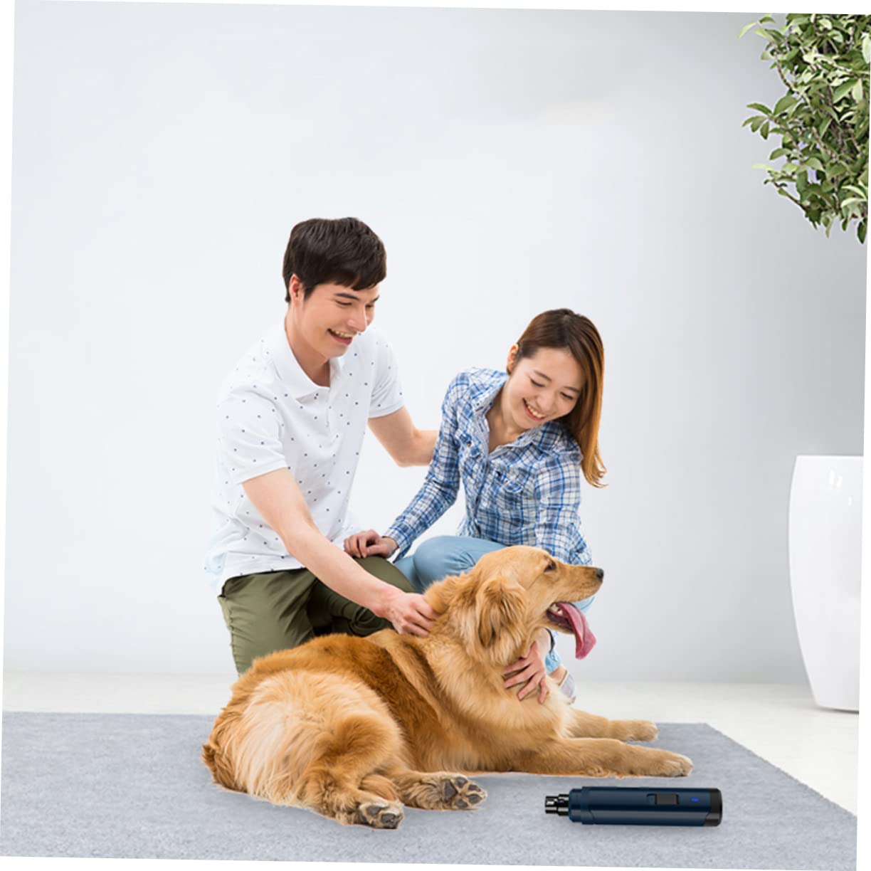 Mipcase Coupe-Ongles Électrique pour Animaux USB pour Chien et Chat