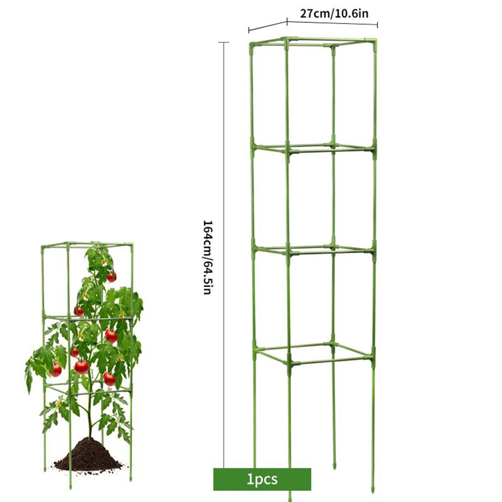 Tutor per Pomodori Pali Quadrati Robusti