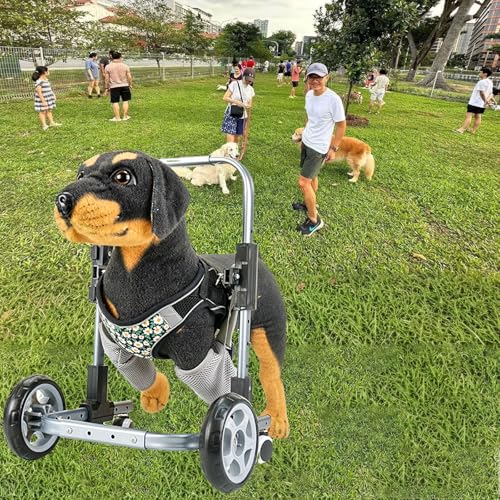 Silla de ruedas para perros con 4 ruedas de metal ajustables que facilitan el ejercicio 7