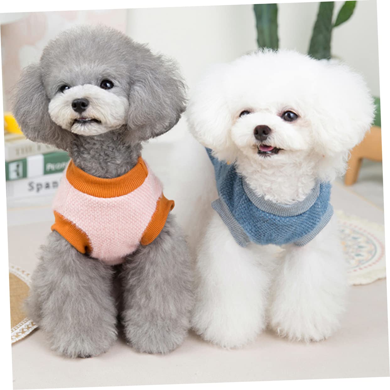 BESPORTBLE 5pezzi Costume per Comodo e Giubbotto Imbottito per Abbigliamento per Animali Domestici per e Speciali Media