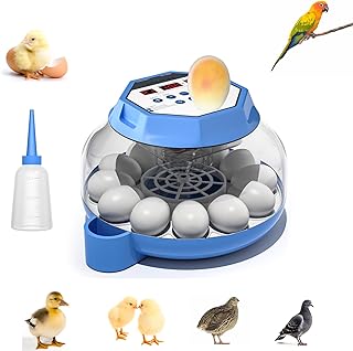 Incubator for Hatching Eggs12-24 Egg Capacity, Automatic Egg Turner, Temperature & Humidity Control, 360° Viewing for Chicken, Duck and Quail Eggs, Birds (Built-in Candler & Quiet Design)