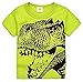2Bunnies Little Boys Toddler Dinosaur T Rex Short Sleeve Tee T Shirt (3T, Green)