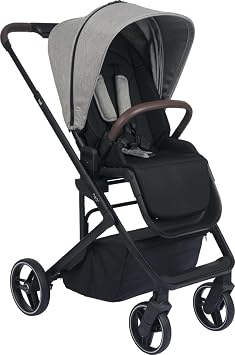 Bagi Neo 2 Baby Stroller Greyson