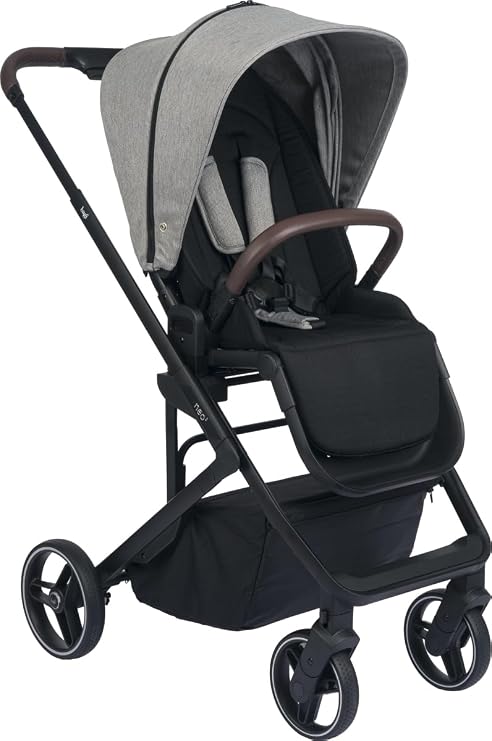 Bagi Neo 2 Baby Stroller Greyson
