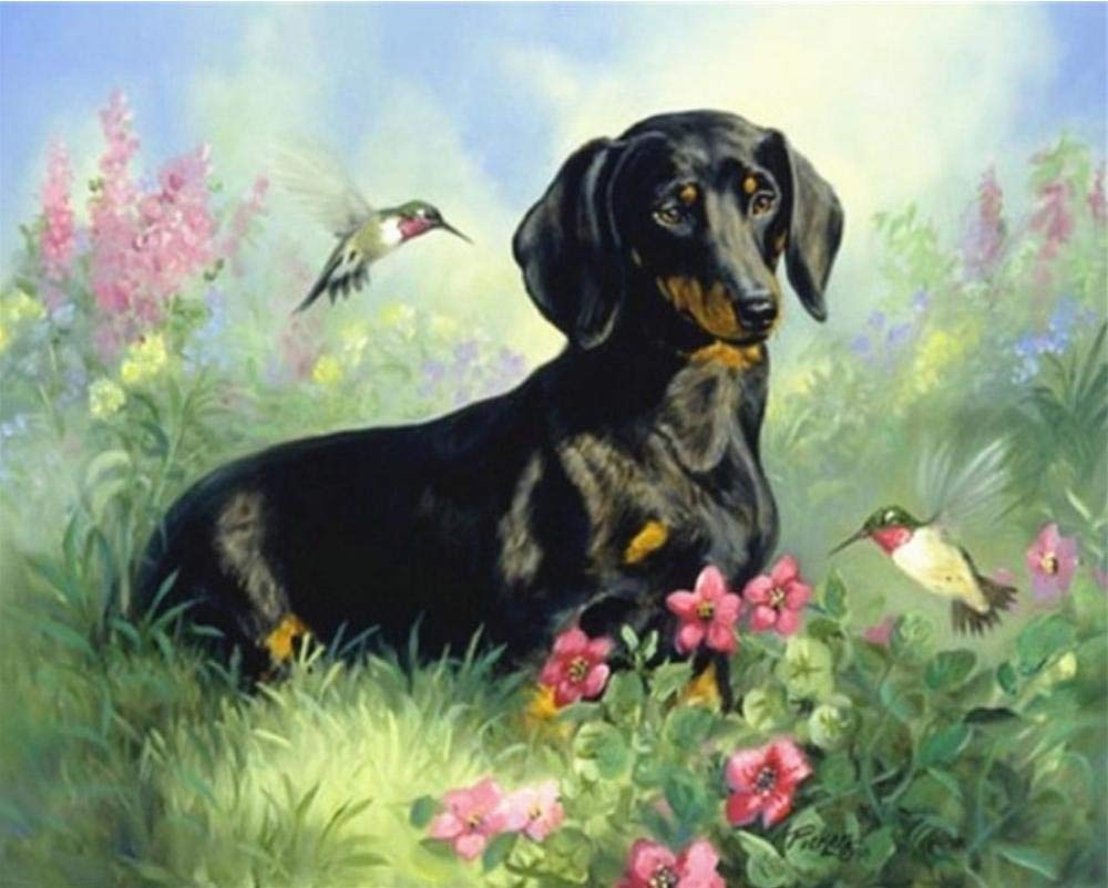 Peinture par numéro chien : idée cadeau originale peinture à l'huile 40x50