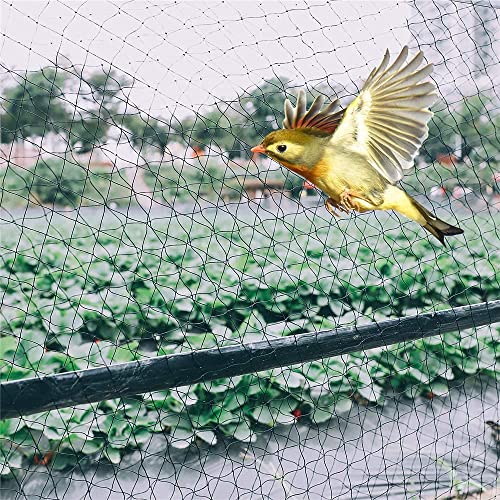 Voosoto Bird Net/Anti Bird Net/Pigeon Net/Garden Net/Bird Control Net UV Stabilised HDPE Nylon Netting Solution for Balconies Installation Kit Included (2 Ft X 16 Ft, Black)
