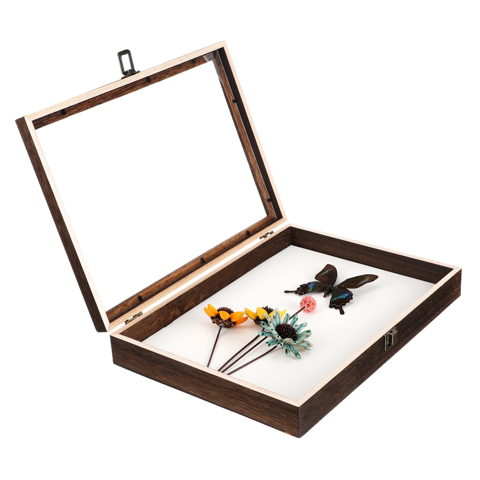 FUNOMOCYA Display Box with Lid Vintage for Insect Specimens Preservation Holder for Entomology and Butterfly