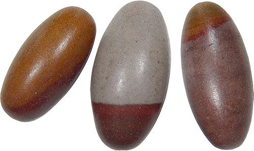 The Rock Specimen Shiva Lingam de 1.25 pulgadas, paquete de 6