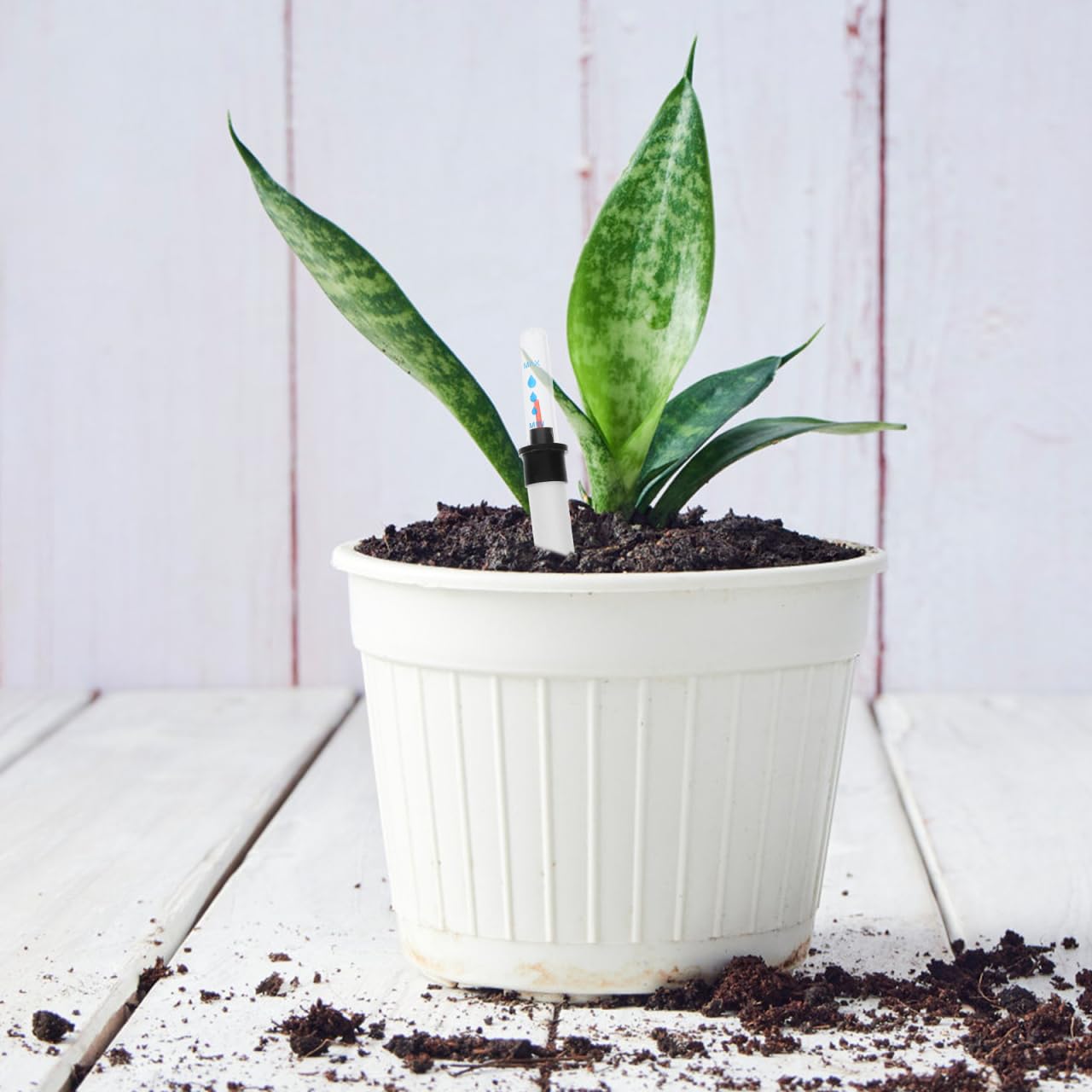 Yardwe Plantes D'intérieur 8 Pièces Indicateur De Niveau D'eau Souvenirs De Manque D'eau Plantes Indicateur De Niveau D'eau 4 2 Onces 5 3 Onces Housse