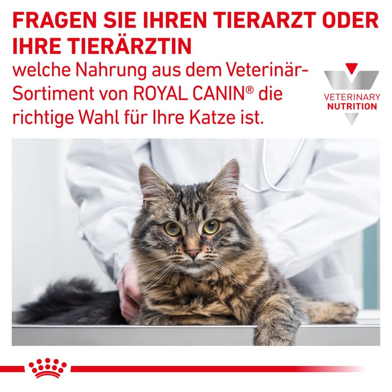 Royal Canin Gastrointestinal Kitten Feline | 4er Pack | 4 x 400 g | Diät-Alleinfuttermittel für Kätzchen | Kann dabei helfen Störungen im Gastrointestinaltrakt zu verringern