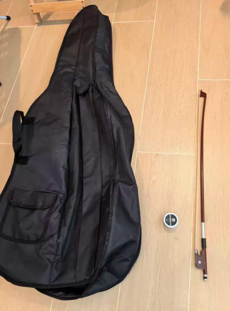 Instrumento de cuerda de violín 3/4 para violín