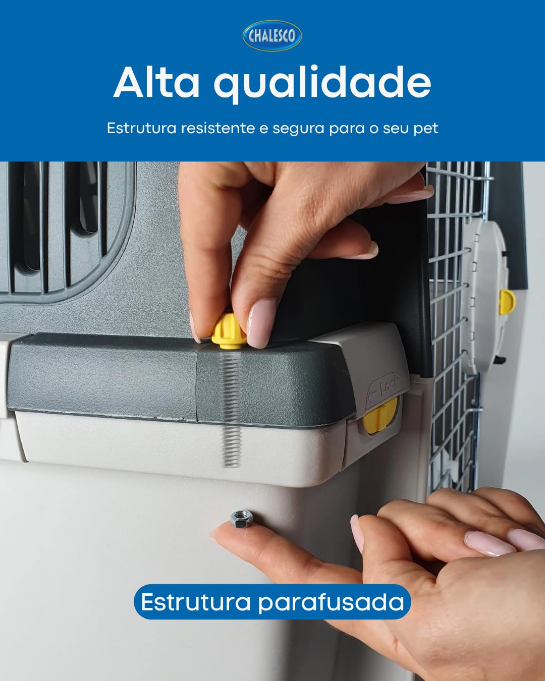 TRASPORTINO GULLIVER IATA 4 cm.71x51x50h. 10410