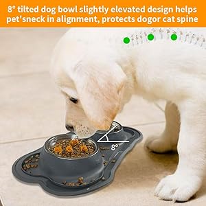 Dog Bowls Stainless Steel Slow Feeder Set with Silicone Mat-100% Waterproof BPA Free Cat and Dog Food Bowls No-Spill and Non-Skid-Pet Feeder Water Bowls for Puppy Medium Dogs Cats