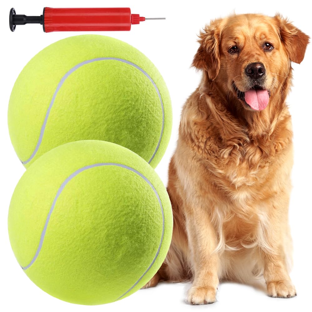Balles de tennis pour chien Lotvic anti-crevaison pour mâcheurs