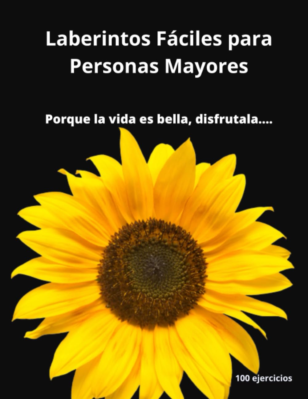 Independently published Laberintos Fáciles para Personas Mayores; laberintos| juegos para adultos mayores| 8.5 x11 pulgadas