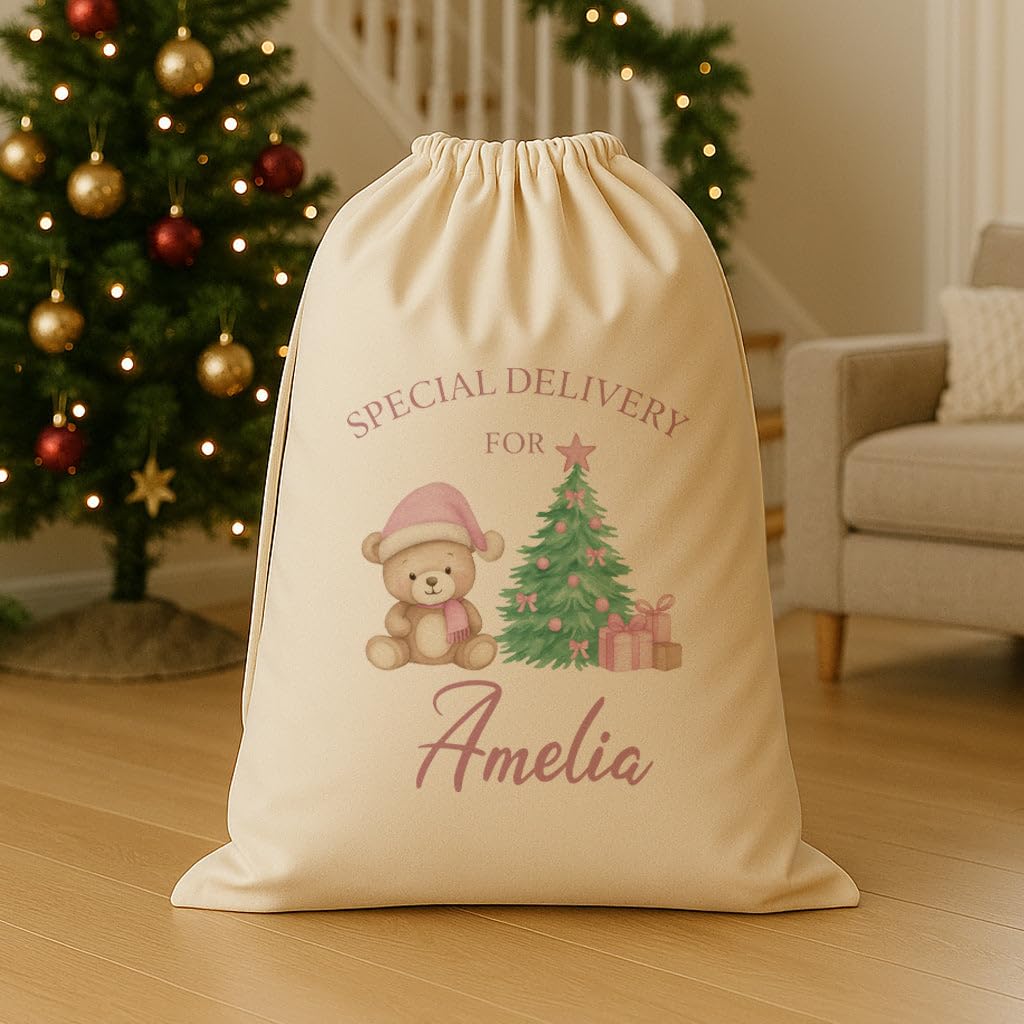 The Gift Project PERSONALISED Special Delivery For.. Pink Teddy - Christmas Santa Sack