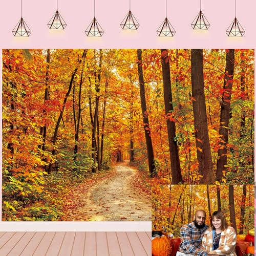 Récolte d'automne et décoration de fête d'anniversaire avec toile de fond forêt
