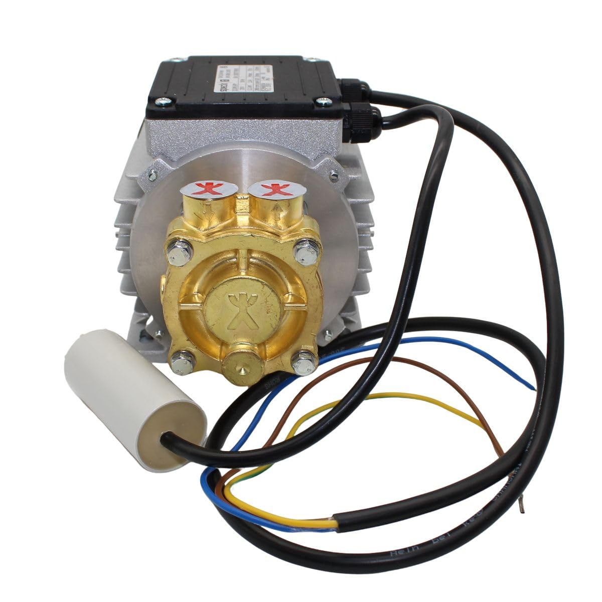 Pompe à eau petite pompe centrifuge en laiton courant alternatif LWS 117 230 V 50 Hz plat LNY2841.0307