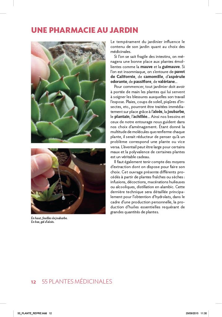 55 plantes médicinales dans mon jardin: Les cultiver, les récolter, les conserver