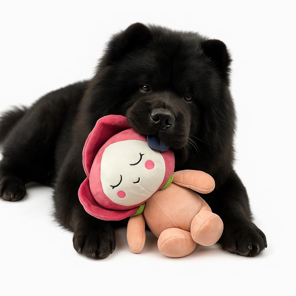 NANDOG My BFF Poppy The Flower Hundespielzeug – weiches Quietschspielzeug für Hunde und Katzen – langlebig, kuschelig, niedlicher Begleiter zum Spielen, Apportieren und Kuscheln