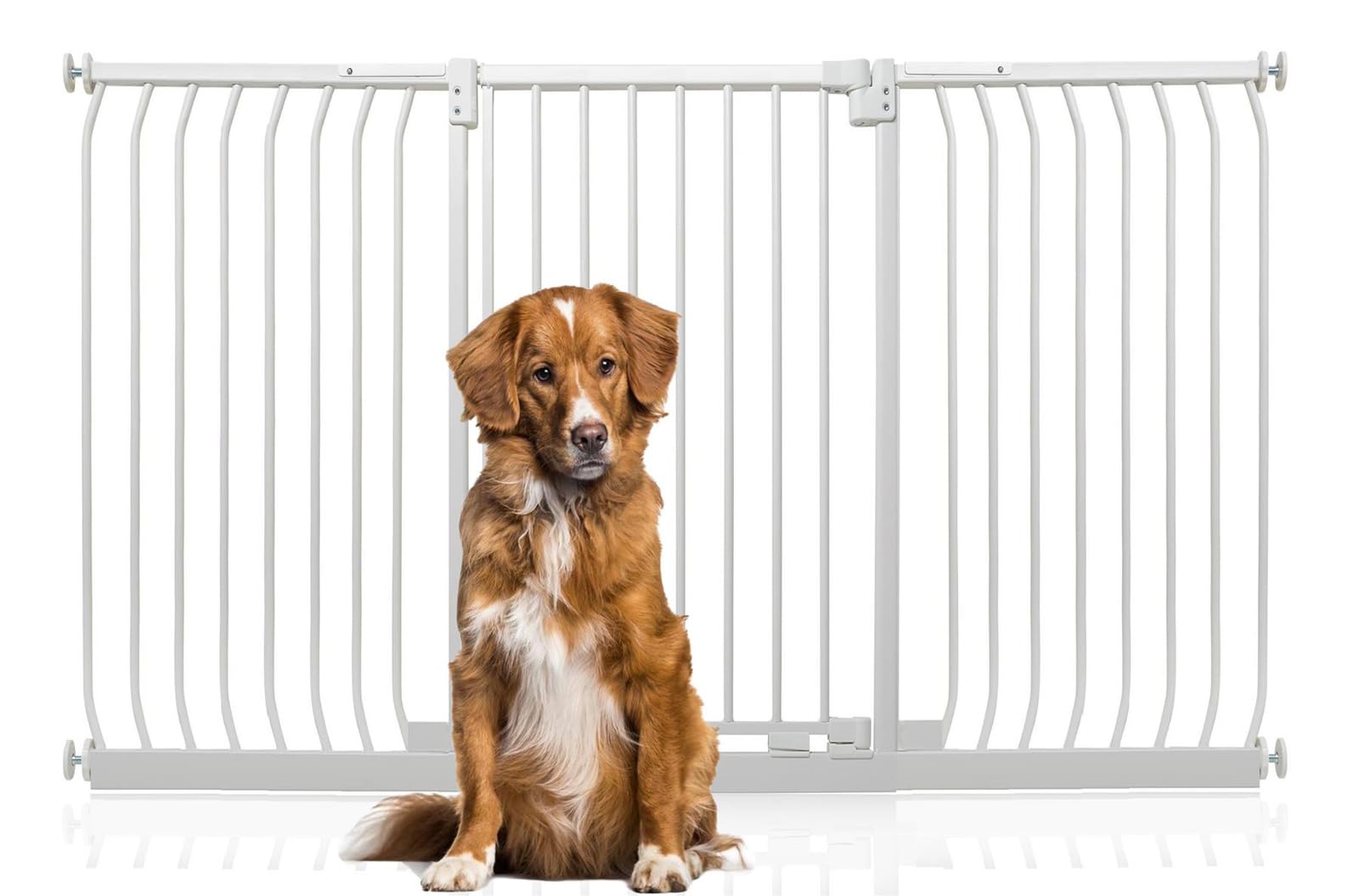 Bettacare White Extra Tall Elite Dog Gate, 179Cm - 188Cm, Matt Extra Tall 100Cm In Height, Pressure Fit Pet Gate For Dog And Puppy, Pet And Dog Barrier, Easy Installation