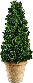 SilksAreForever 13.3