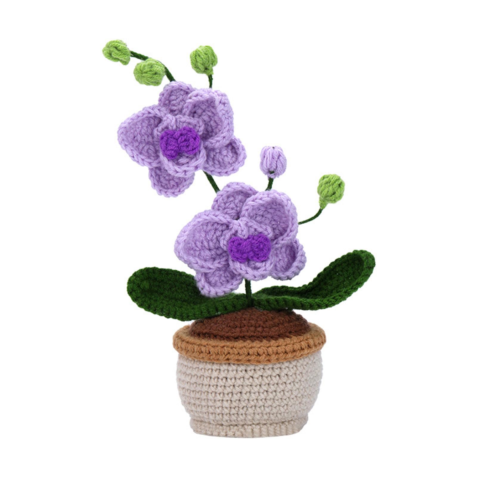 HZGFNBZ Crochet Potted Plant Kits for Beginners, with Hook, Yarn, Needle, Instructions, Knitting Marker Starter Kits Beginner Starter