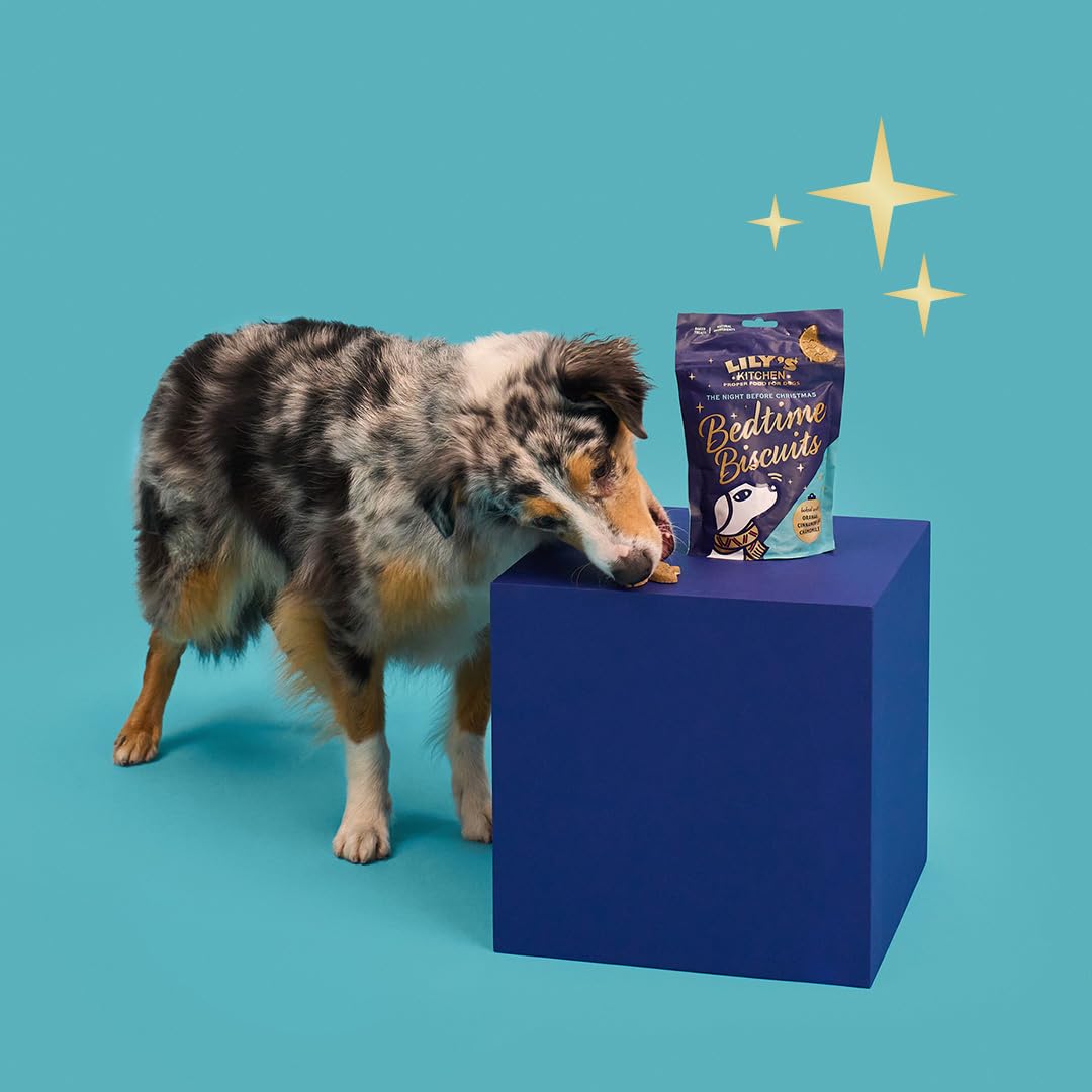 Snack per cani adulti Lily’s Kitchen con ingredienti naturali, Biscotti di Natale della nanna, 80 g