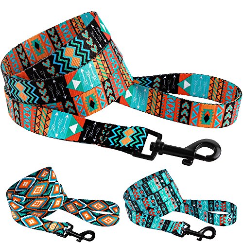 CollarDirect Nylon Dog Leash 5ft Tribal Pattern Durable Walking Pet Leashes for Dogs
