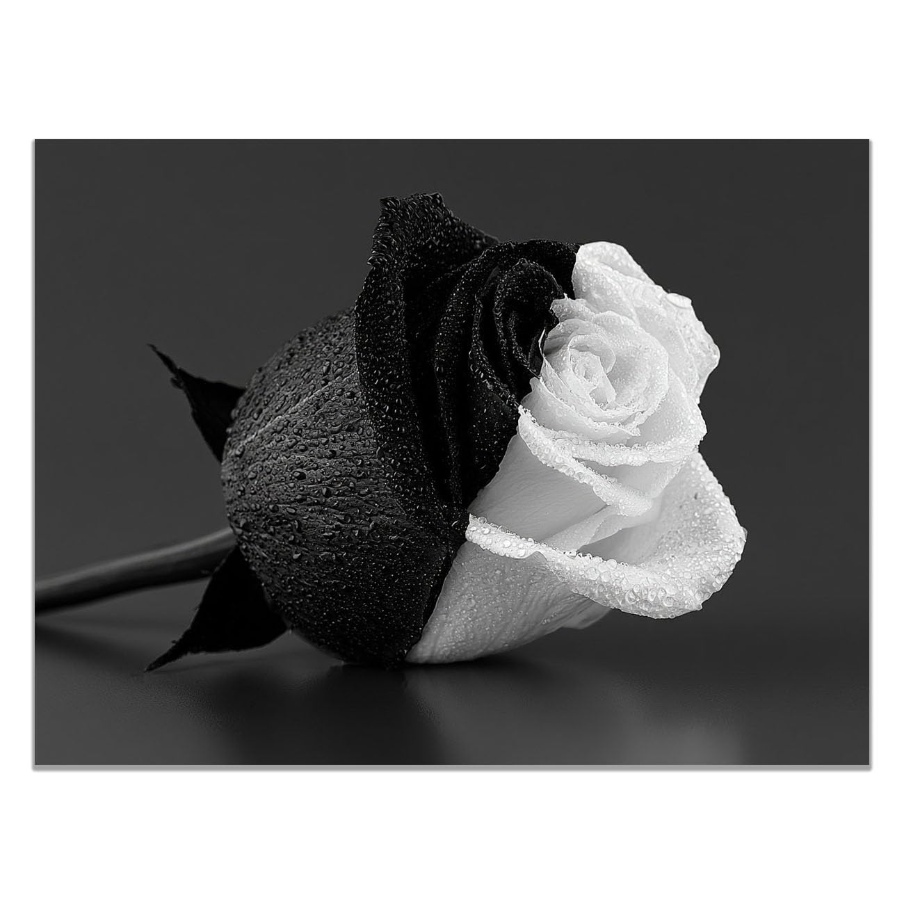 TODOAA Cuadro Abstracto Modernos Lienzo Patrón floral en blanco y negro blanco y negro cuadros -Salon baño Comedor dormitorio Decoración de pared-80x120cm Sin marco