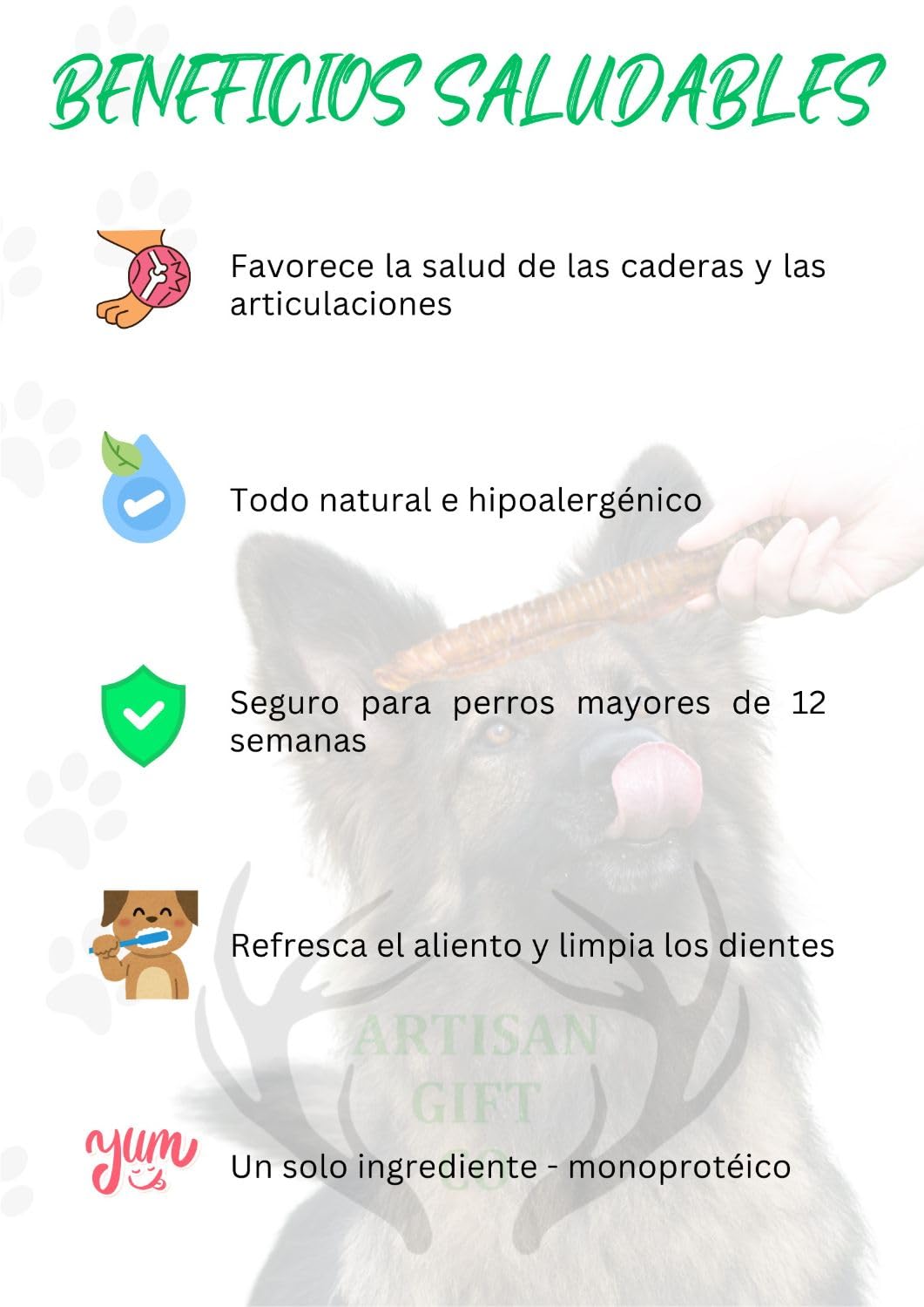 Tráqueas de Ternera para Perros y Cachorros, Anillas de 5 cm., 1 kg. | Snacks naturales deshidratados