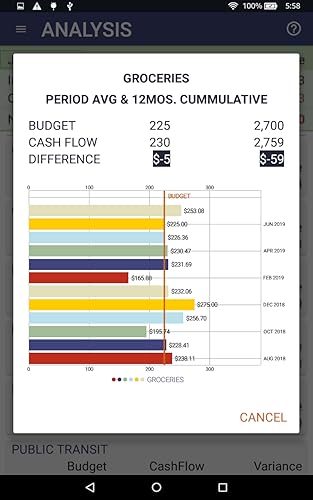 NetWorth2b Budget & Flow 2.0 - Premium Edition