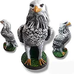 Genérico - Águia Gavião Espanta Pombos Passarinhos Jardim - Escultura Decorativa Resina - Original da Ave - 36x22Cm - 4Kg