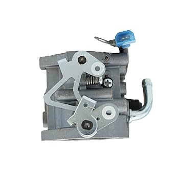 Amazon.com: A042P619 Carburetor Kit With Filter Gasket
