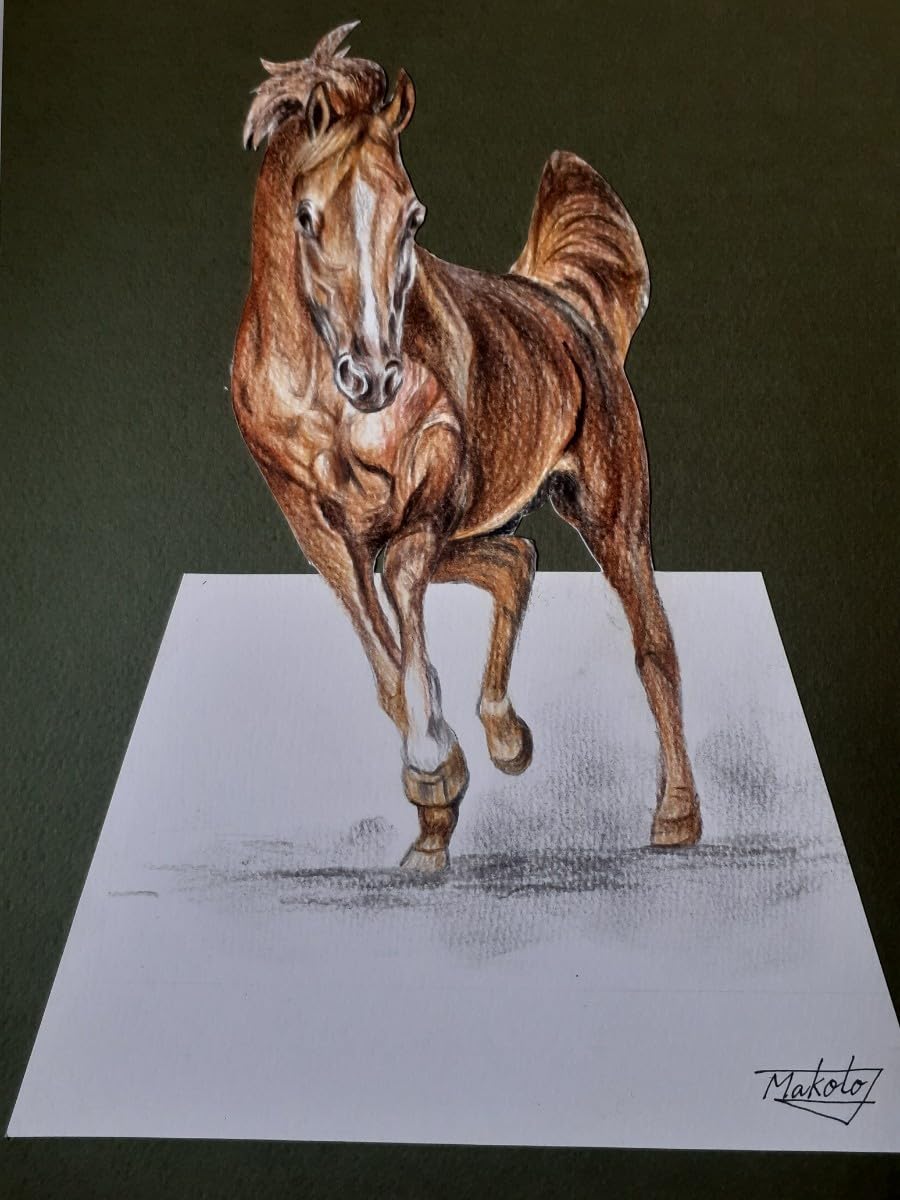 Amazon | 3D水彩色鉛筆画 駿馬 | 色鉛筆 | 文房具・オフィス用品 Amazon | 3D水彩色鉛筆画 駿馬 | 色鉛筆 | 文房具・オフィス用品