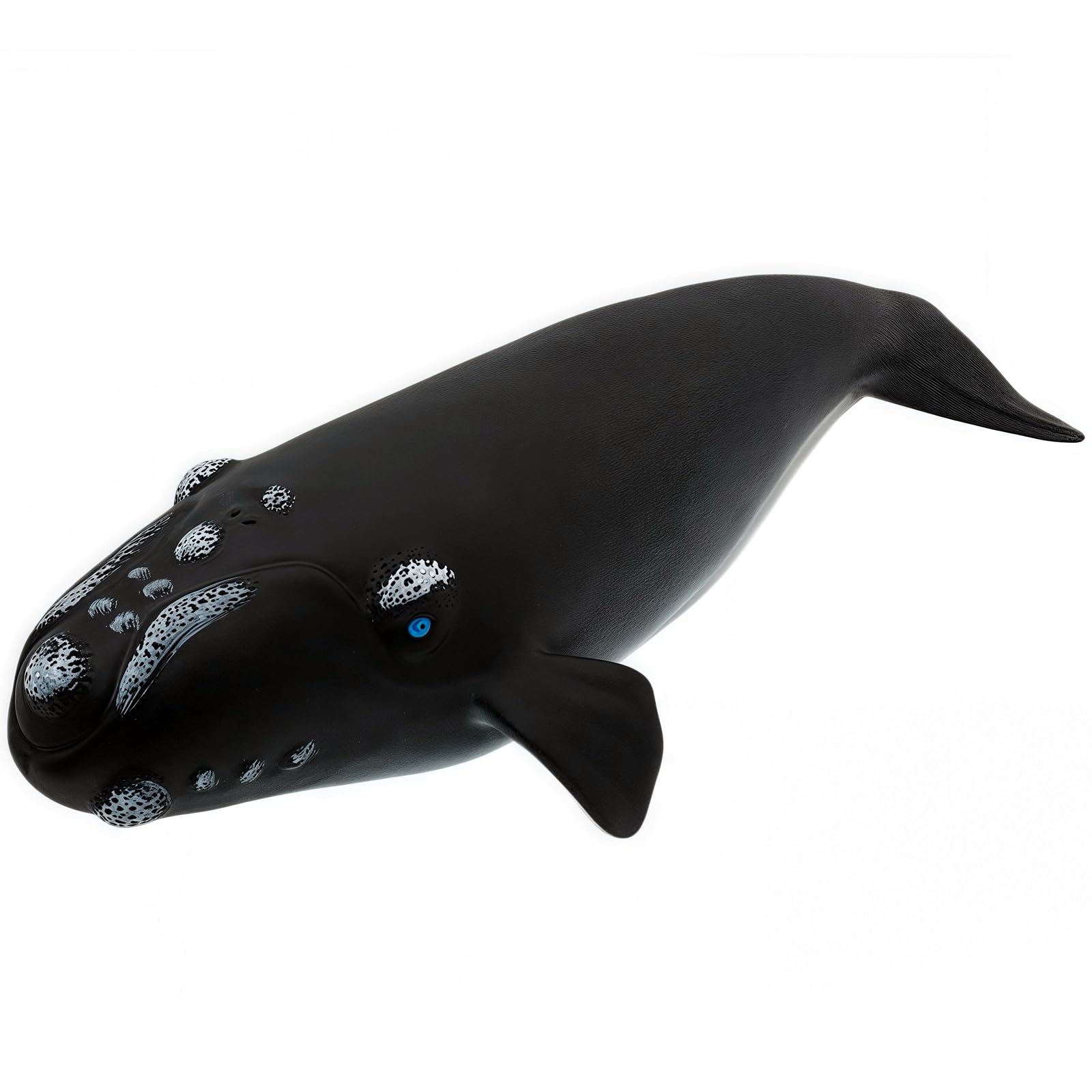 Amazon.com: Gemini&Genius Right Whale Action Figure, Shark Animal