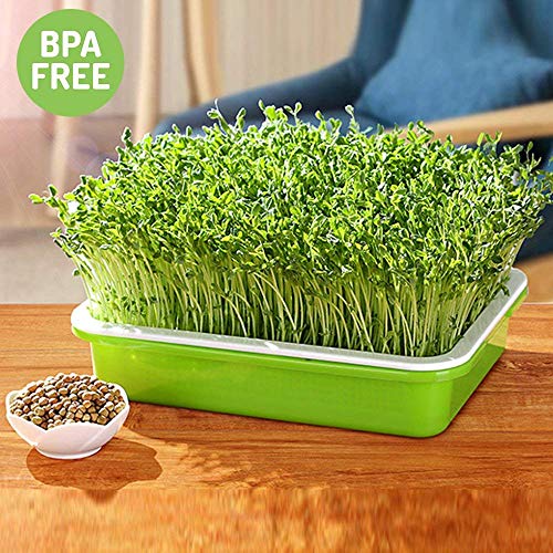 Image of 2 Pack of BPA Free Home Microgreen Soilless Hydroponics Seed Sprouter Grow Tray with Cover + Free Spray Bottle and 20 Sheets Growing Paper