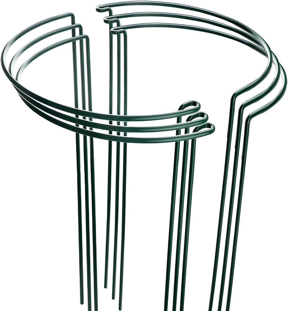 Amazon.co.uk Plant Cages & Supports Plant Cages & Supports / Garden