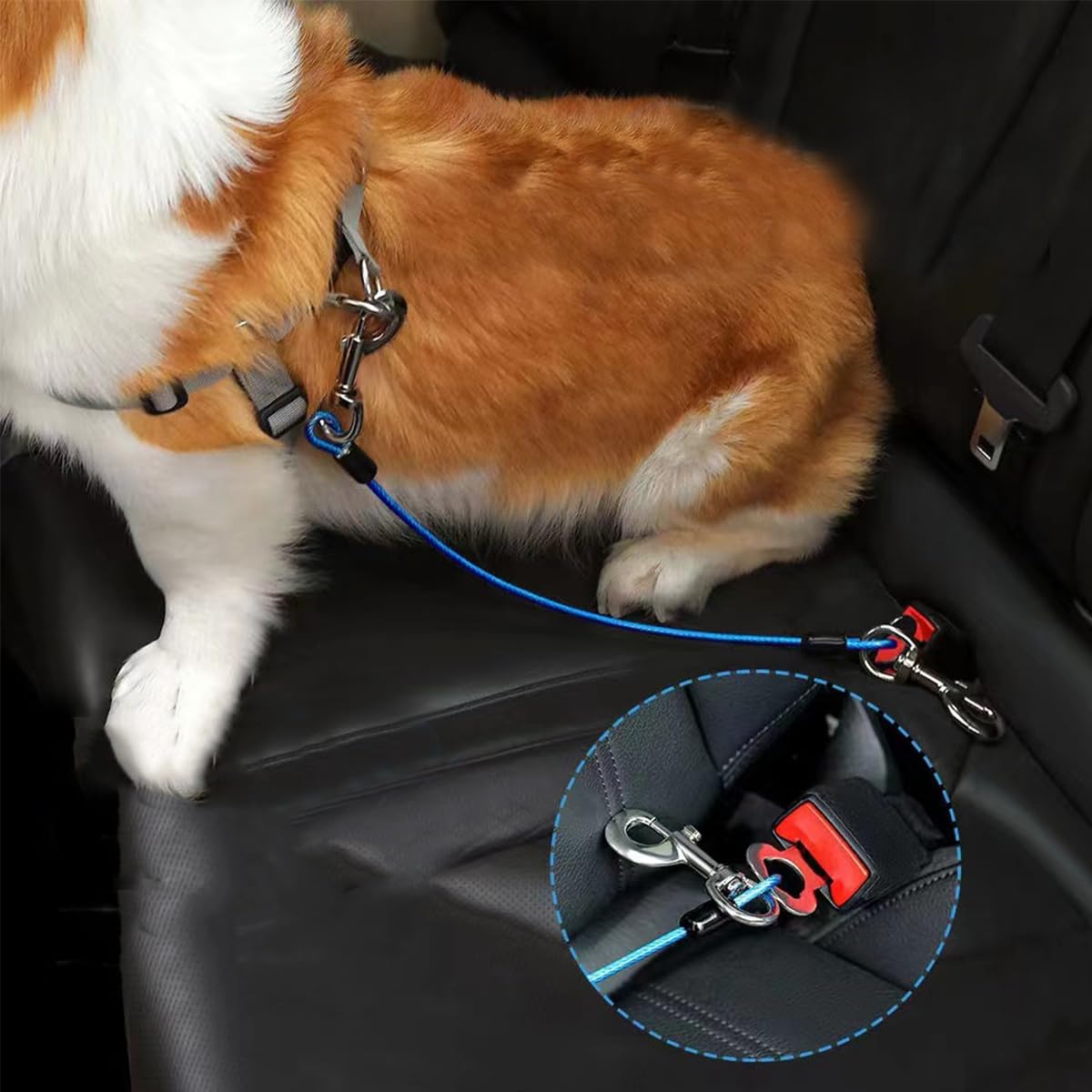 LIUYIDM Ceinture Chien Voiture 2 Pièces Harnais Anti Traction