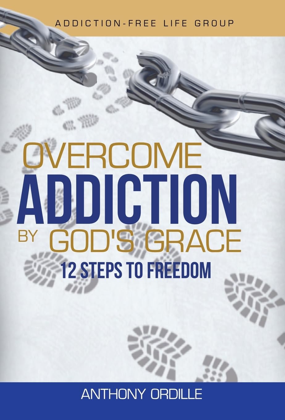 Overcome Addiction by God's Grace: 12-Steps to Freedom