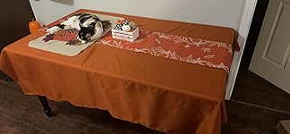 Review Image by Summer Summer