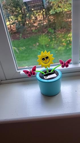 ⭐️ひまわりです ひまわり・F1サンリッチ(R)ライチLD| 種・苗・ガーデニング用品