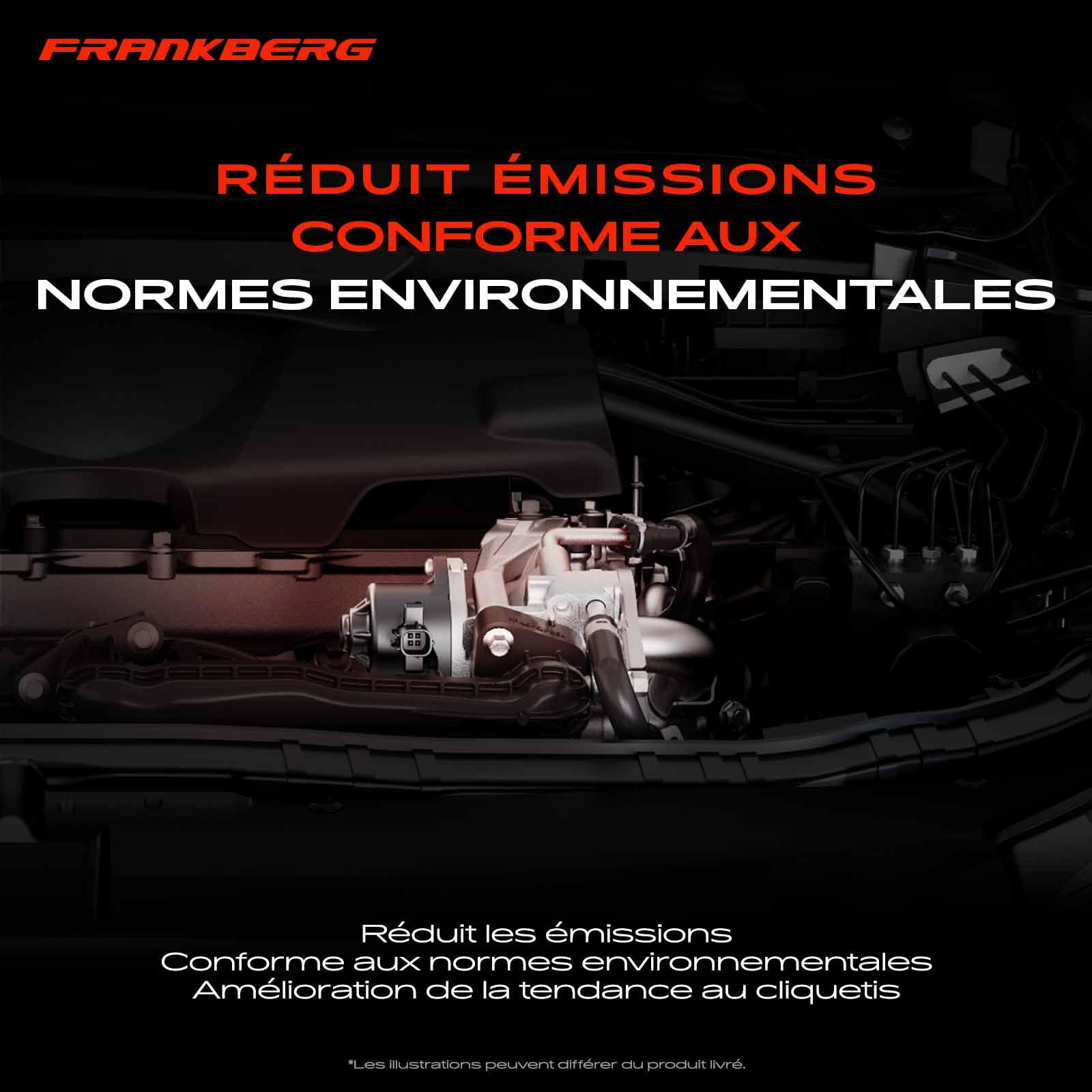 Frankberg Vanne EGR de recirculation des gaz d'échappement 8200561269 | Compatible avec: Logan Pick-up US,,,,Modus/Grand Modus F/JP0,Scénic II