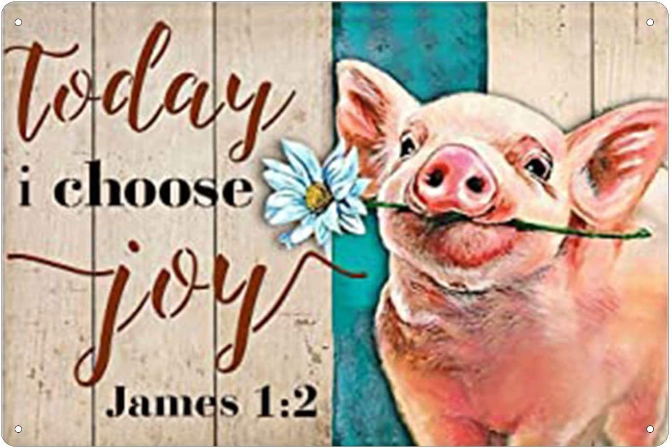 Haosensix Today I Choose Joy Vintage Metal Tin Sign Wall Plaque Retro Poster Cafe Bar Pub Beer Club Wall Home Decor 8x12 inch