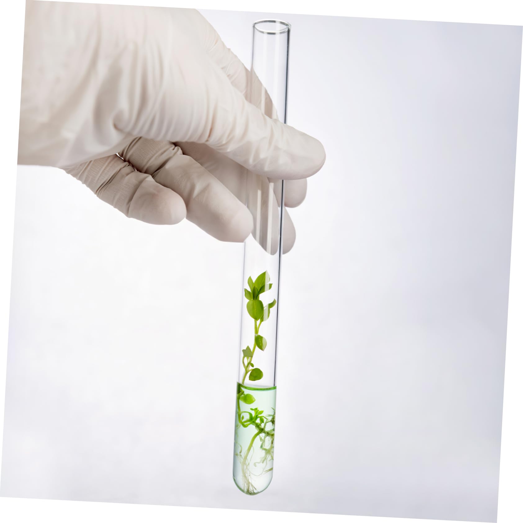16pezzi Provette Con in Sughero Pz Provette Da Con Imbuto e Per Pulizia Per Conservazione Campioni e Uso Scientifico