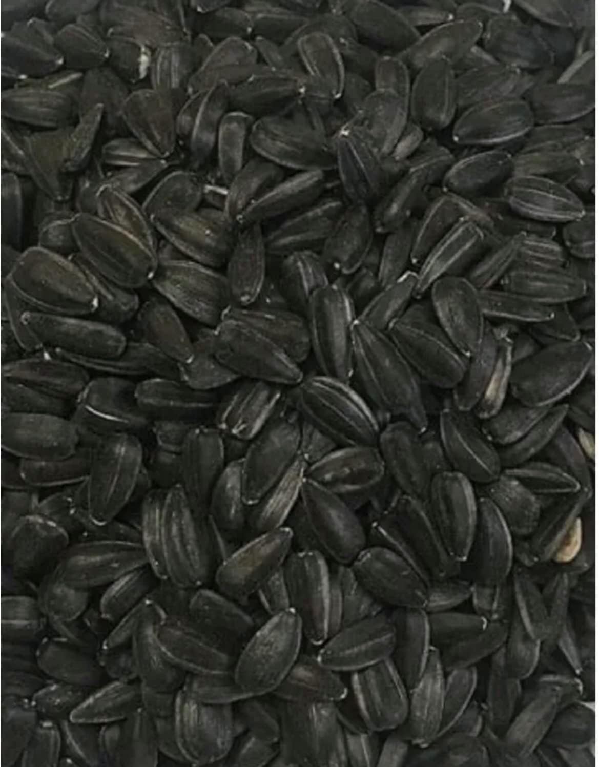 Black Sunflower Seeds Horse Chicken Bird Sheep Cattle Animal Supplement